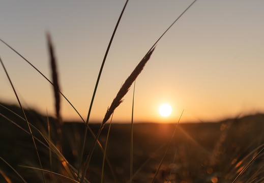 Landschaft